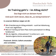 Webinar Aufzeichnung Hunds-entspannt 1
