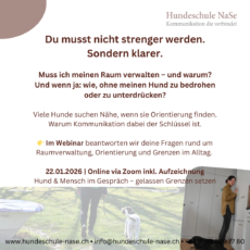 Webinar Aufzeichnung Hunds-entspannt 2