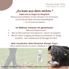 Webinar Aufzeichnung Hunds-entspannt 3