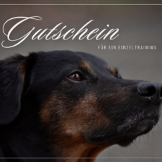 Gutschein Einzeltraining 4-er Abo